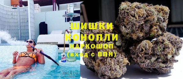 СК Алексин