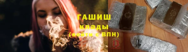 СК Алексин
