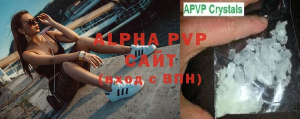 СК Алексин