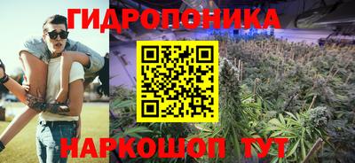 ПСИЛОЦИБИНОВЫЕ ГРИБЫ Бердск
