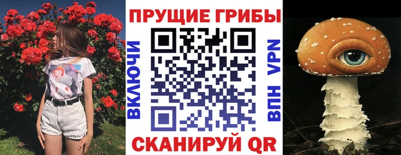 купить наркотик  Саки  Галлюциногенные грибы Psilocybe 