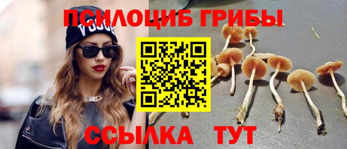 Псилоцибиновые грибы Cubensis  где купить   Вход с VPN  Саки  Псилоцибиновые грибы Cubensis 