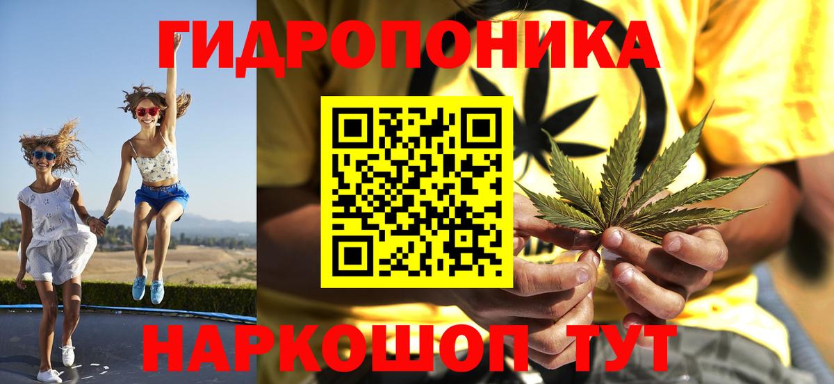 Каннабис сатива Саки
